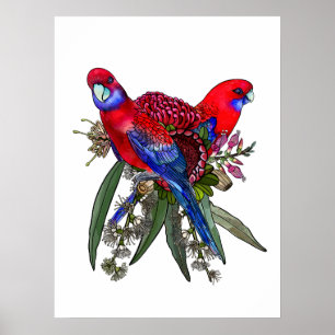 Australian Crimson Rosella and Wildflower Bouquet Poster