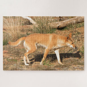 Australian dingo jigsaw puzzle