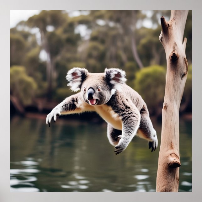 Australian Drop Bear Koala Poster (Front)