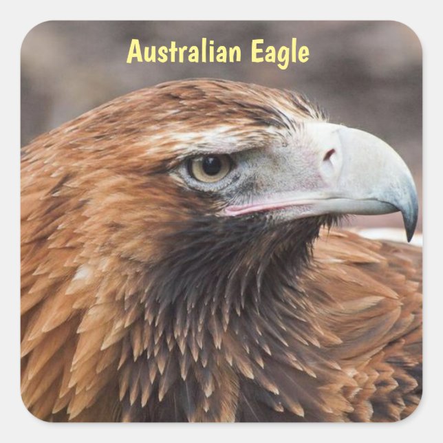 Australian Eagle Profile Square Sticker (Front)