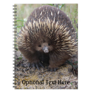 Australian Echidna Cute Animal Photo Spiral Notebook