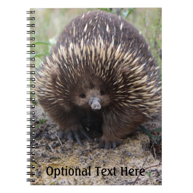 Australian Echidna Cute Animal Photo Spiral Notebook (Front)