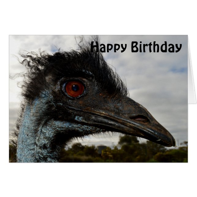 Australian Emu Close up,  Birthday Card (Front Horizontal)