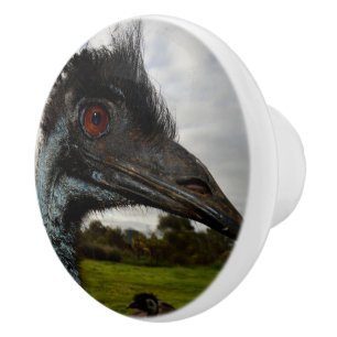 Australian Emu Twinkles, Ceramic Knob