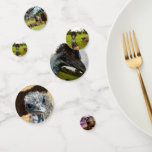 Australian Emus, Birthday Table Confetti<br><div class="desc">Pictured are Australian Emus</div>