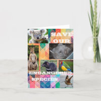 Australian Endangered Species