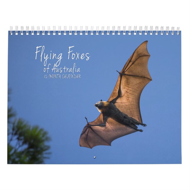 Australian Flying Fox Bat Calendar - 3 sizes (Cover)