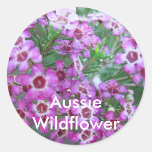Australian Geralton Wax Classic Round Sticker