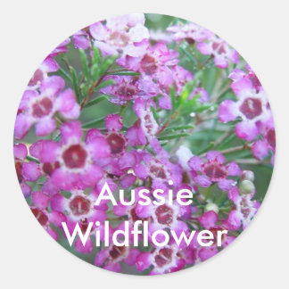 Australian Geralton Wax Classic Round Sticker