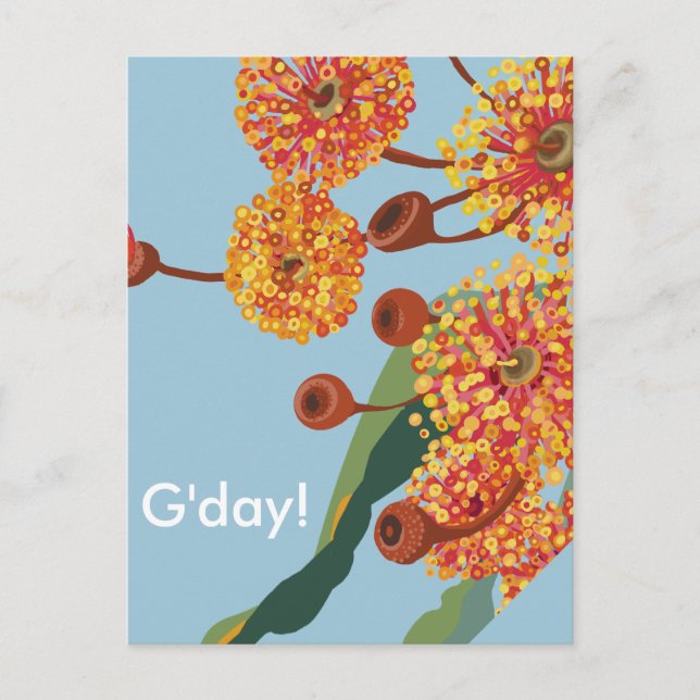 Australian gum tree blossoms postcard (Front)