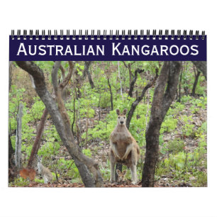 australian kangaroos 2026 calendar
