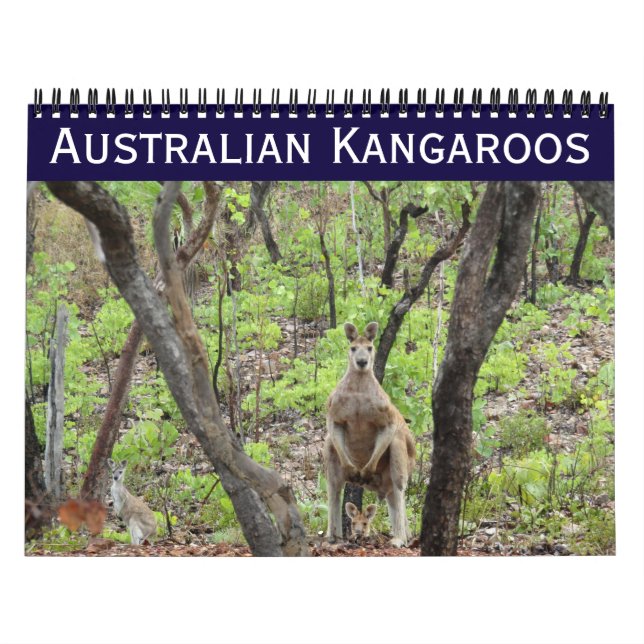australian kangaroos 2027 calendar (Cover)