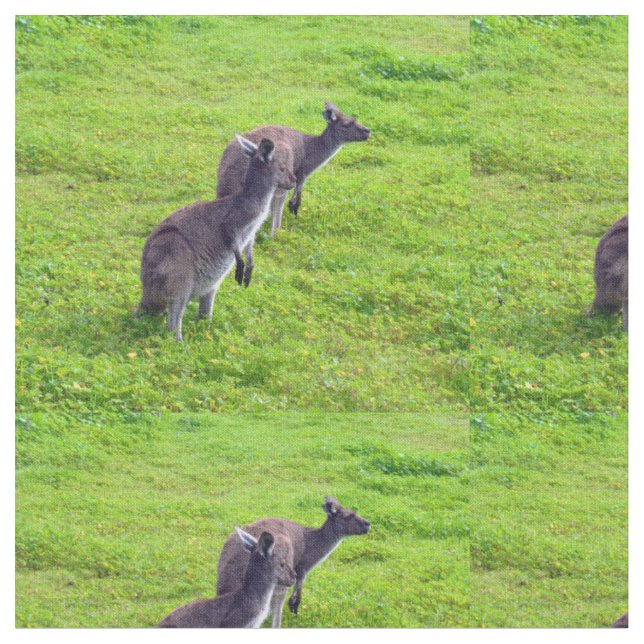Australian Kangaroos On Green Pasture, Fabric (Close Up)