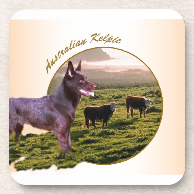 Australian Kelpie Art Gifts Coaster (Front)
