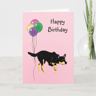 Australian Kelpie, Birthday Balloons Card