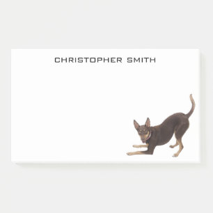 Australian Kelpie Dog Post-it Notes