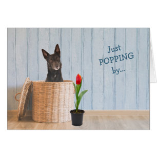 Australian Kelpie Dog Wicker Basket Birthday Card