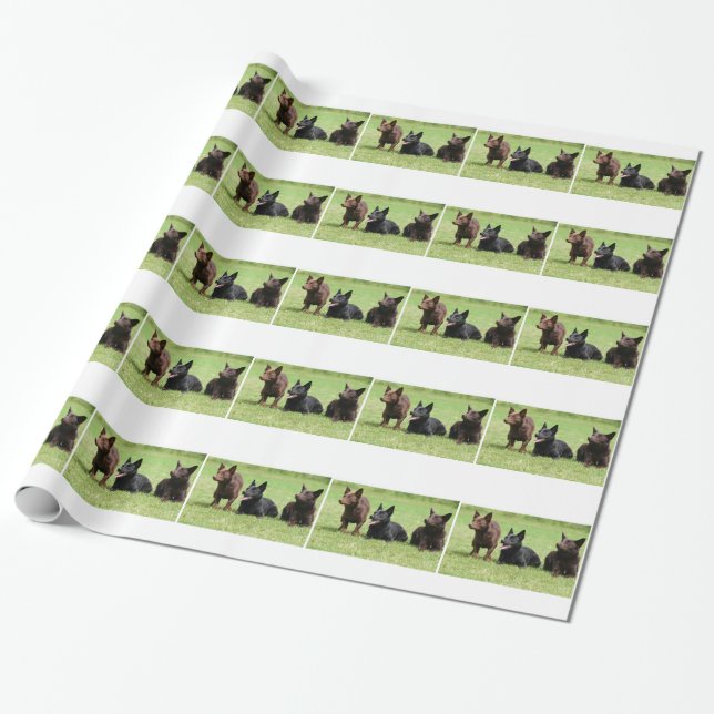 Australian Kelpie Puppies Wrapping Paper (Unrolled)