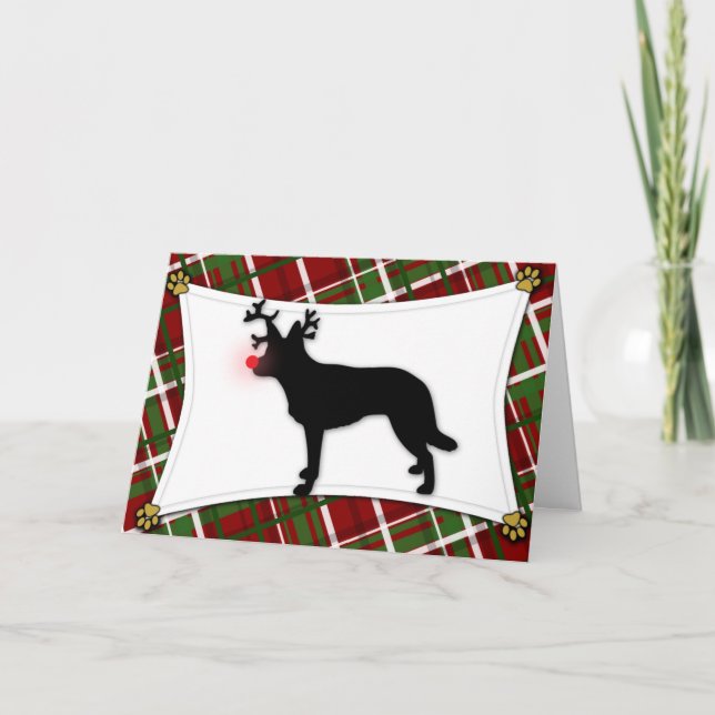 Australian Kelpie Reindeer Christmas Card (Front)