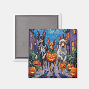 Australian Kelpie Trick-or-Treating Halloween  Magnet
