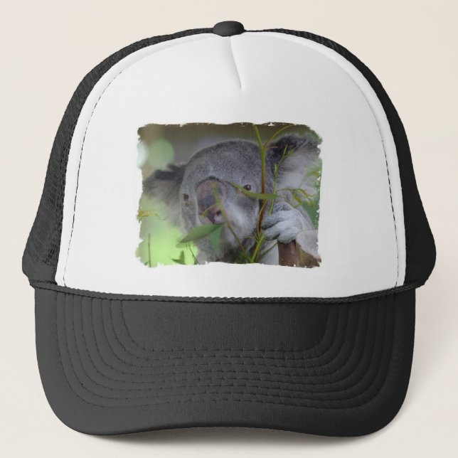 Australian Koala Baseball Hat (Front)