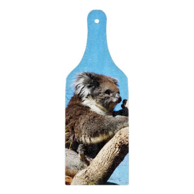 Australian Koala Bear In Old Pine Tree, Cutting Board (Front)