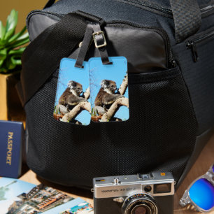 Australian Koala Bear In Old Pine Tree, Luggage Tag