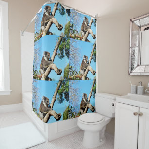 Australian Koala Bear In Old Pine Tree, Shower Curtain