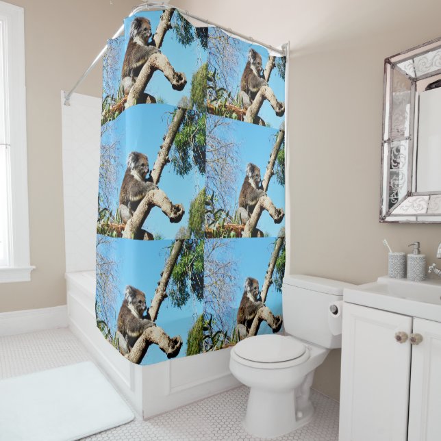 Australian Koala Bear In Old Pine Tree, Shower Curtain (In Situ)