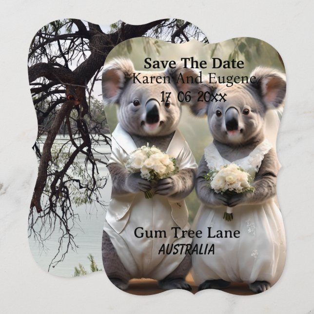 Australian Koala Bear White Wedding, Invitation (Front/Back)