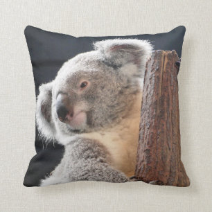 Australian Koala Cushion