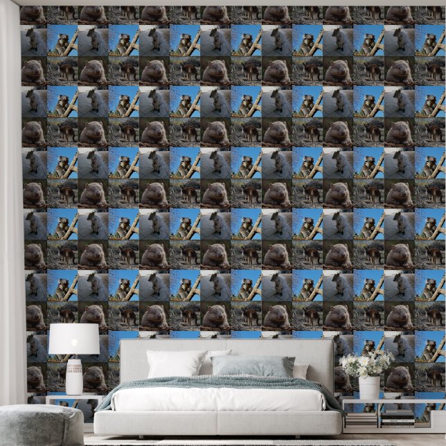 Australian Koala, Quokka, Kangaroo, Wombat,  Wallpaper (Bedroom)