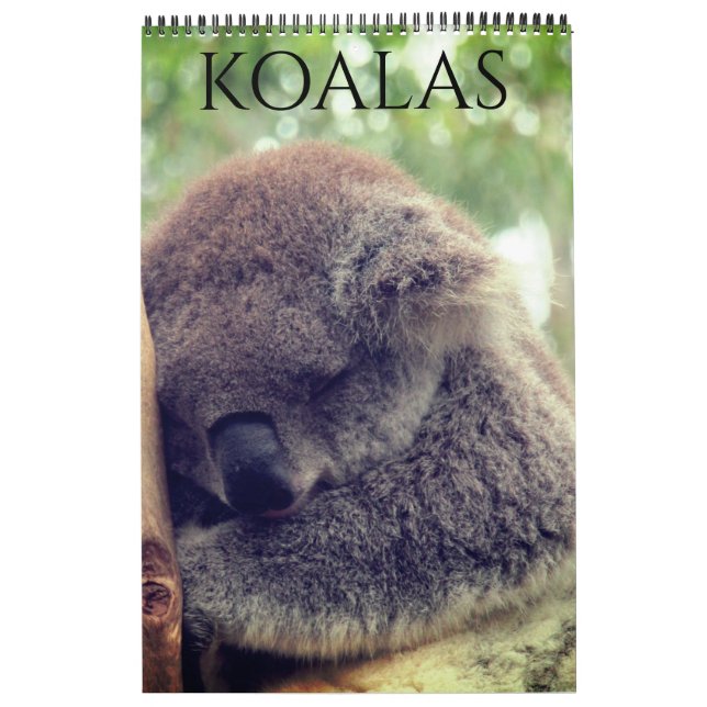 australian koalas 2027 calendar (Cover)