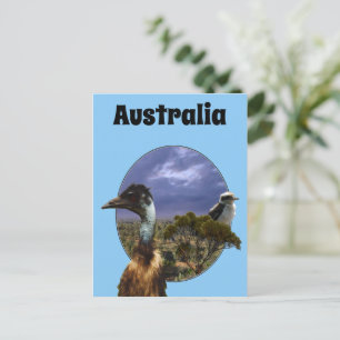 Australian Kookaburra And Emu, Postcard