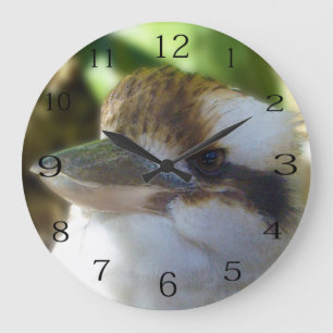 Australian Kookaburra Close Up, Large Clock