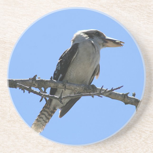 Australian Kookaburra Coaster (Front)