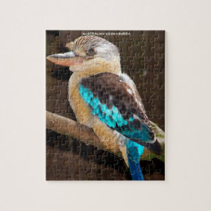 Australian Kookaburra Jigsaw Puzzle