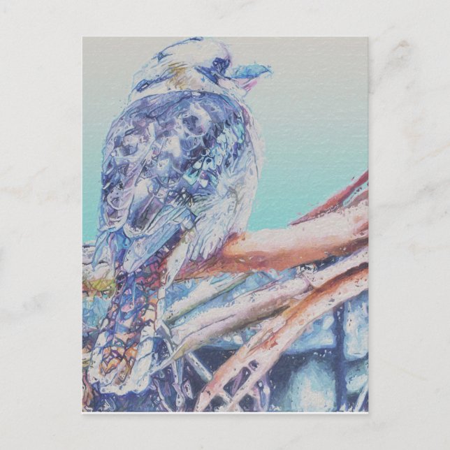 Australian Kookaburra Postcard (Front)