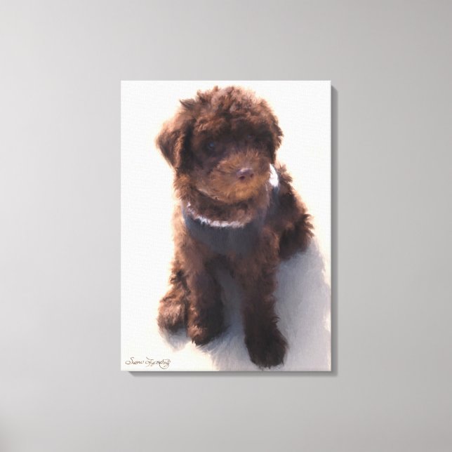 AUSTRALIAN LABRADOODLE PUPPY CANVAS PRINT (Front)