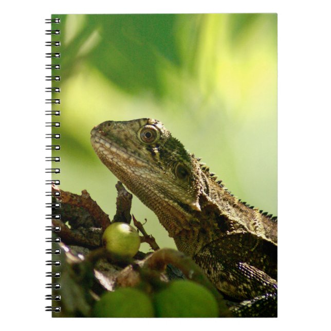 Australian lizard hiding between leaves, Photo Spiral Notebook (Front)