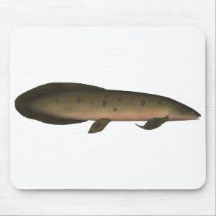 Australian Lungfish Mouse Pad