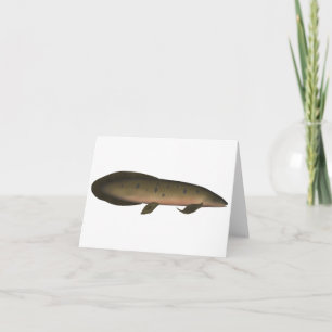Australian Lungfish Note Card