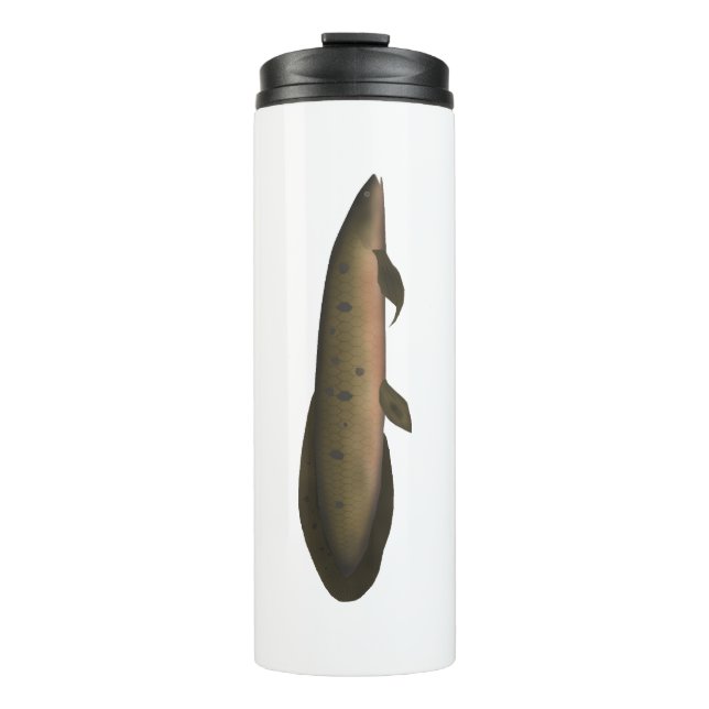 Australian Lungfish Thermal Tumbler (Front)