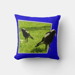 Australian Magpie Birds, Cushion