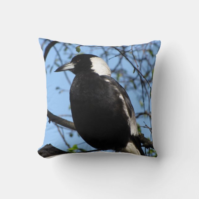 Australian Magpie  Cushion (Front)