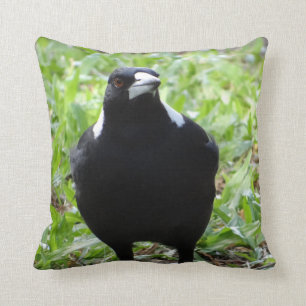 Australian Magpie Cushion