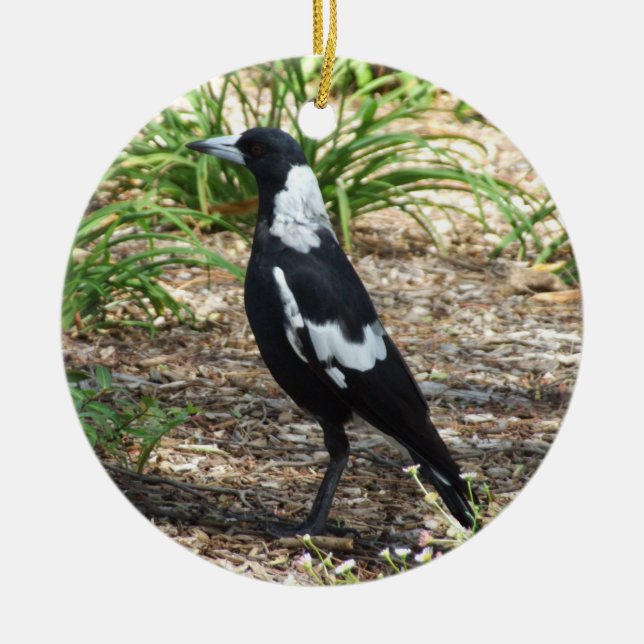 Australian Magpie Ornament (Front)