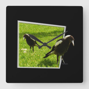 Australian Magpies That Standout, Square Wall Clock