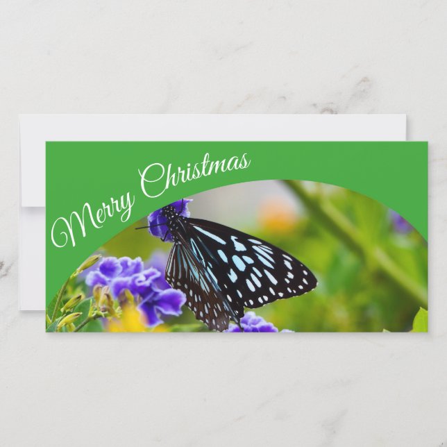 Australian Merry Christmas photo card (Front)