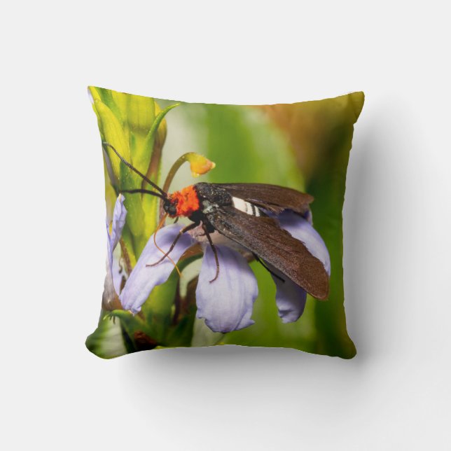 Australian Native Moth 1 Cushion (Front)